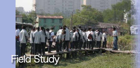 field study
