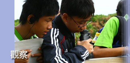 observation